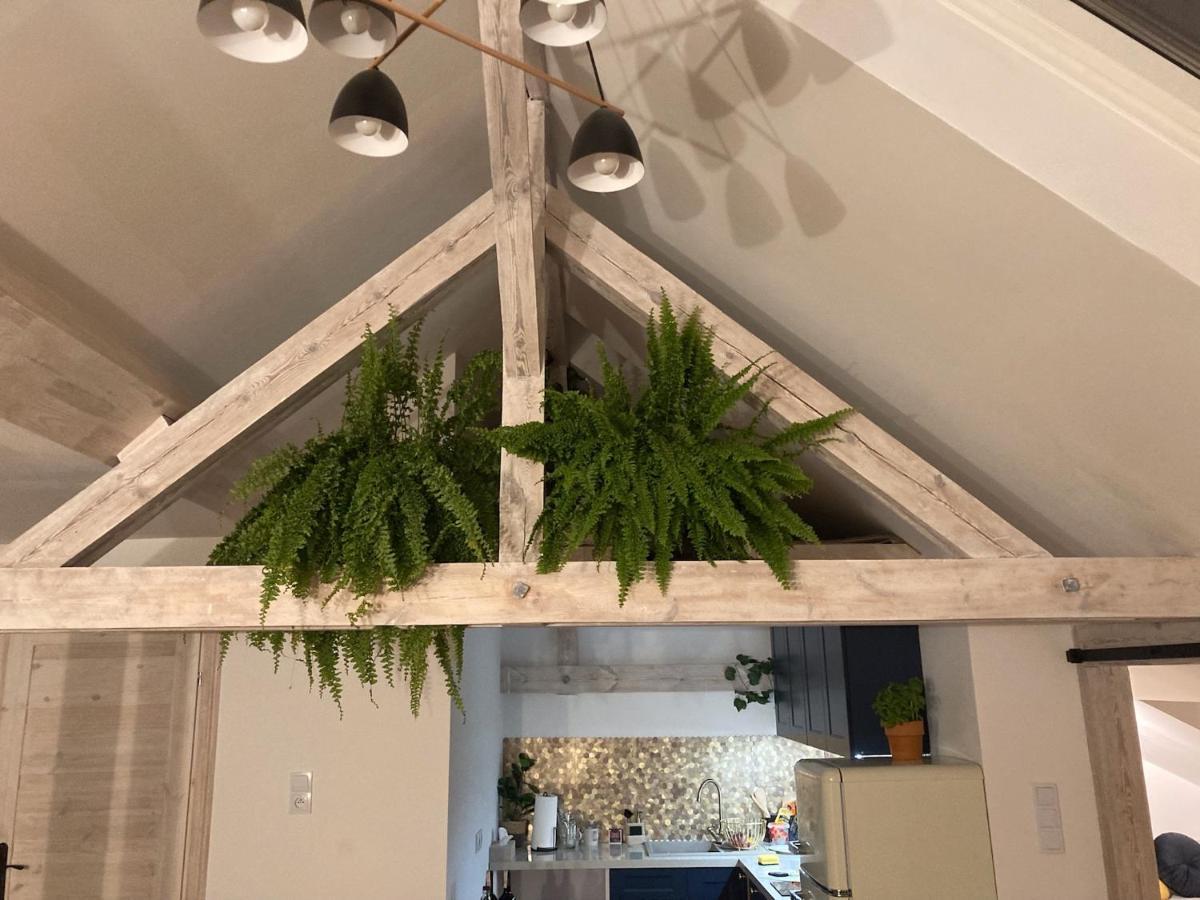 Attic Appart Stary Toruń Exteriér fotografie