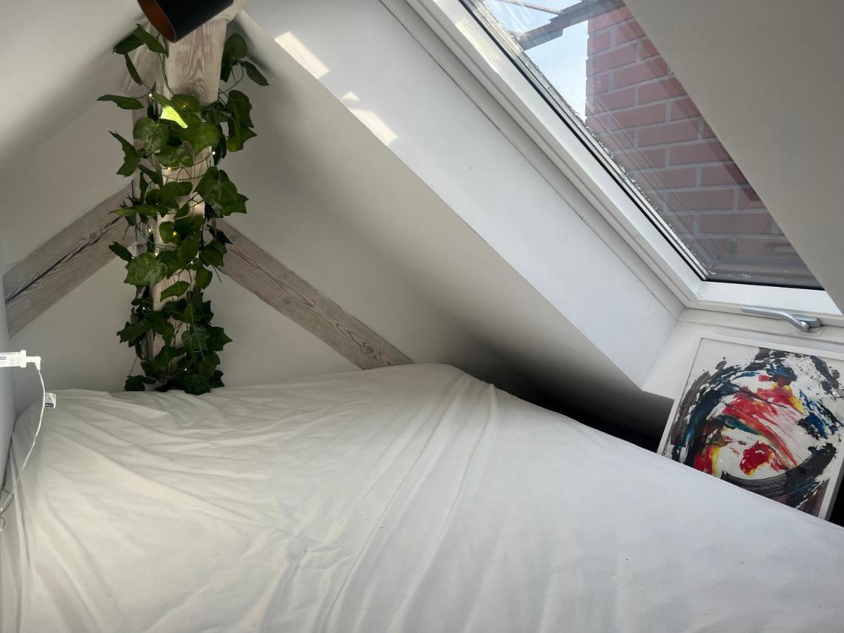 Attic Appart Stary Toruń Exteriér fotografie