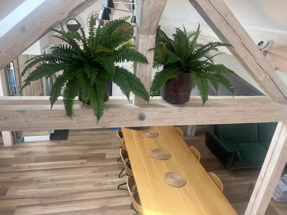 Attic Appart Stary Toruń Exteriér fotografie