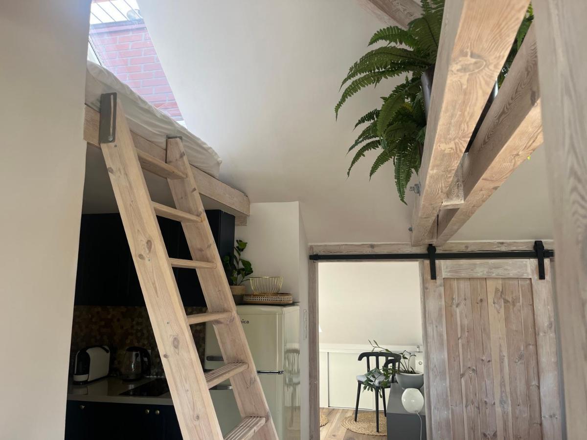Attic Appart Stary Toruń Exteriér fotografie
